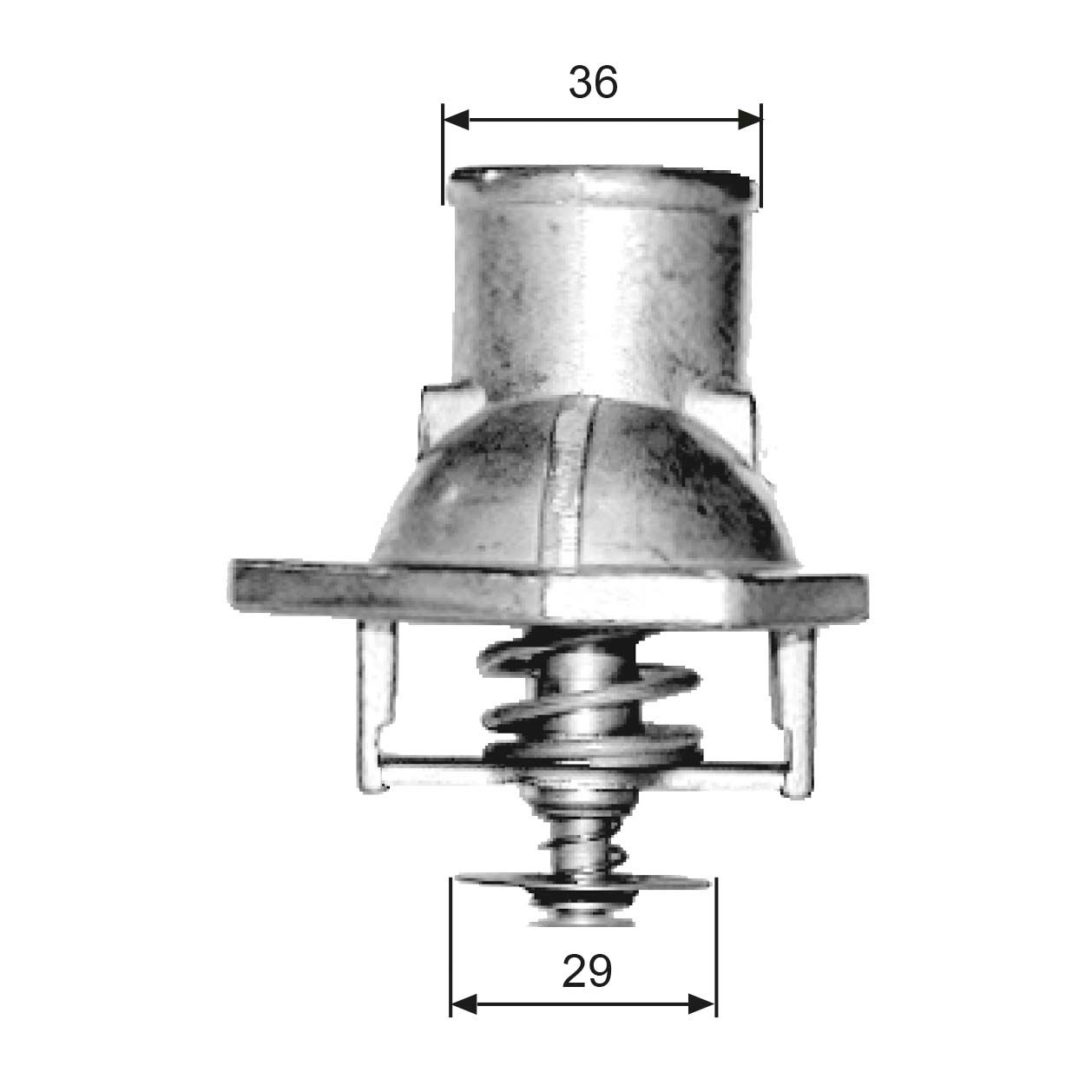 Thermostat d'eau