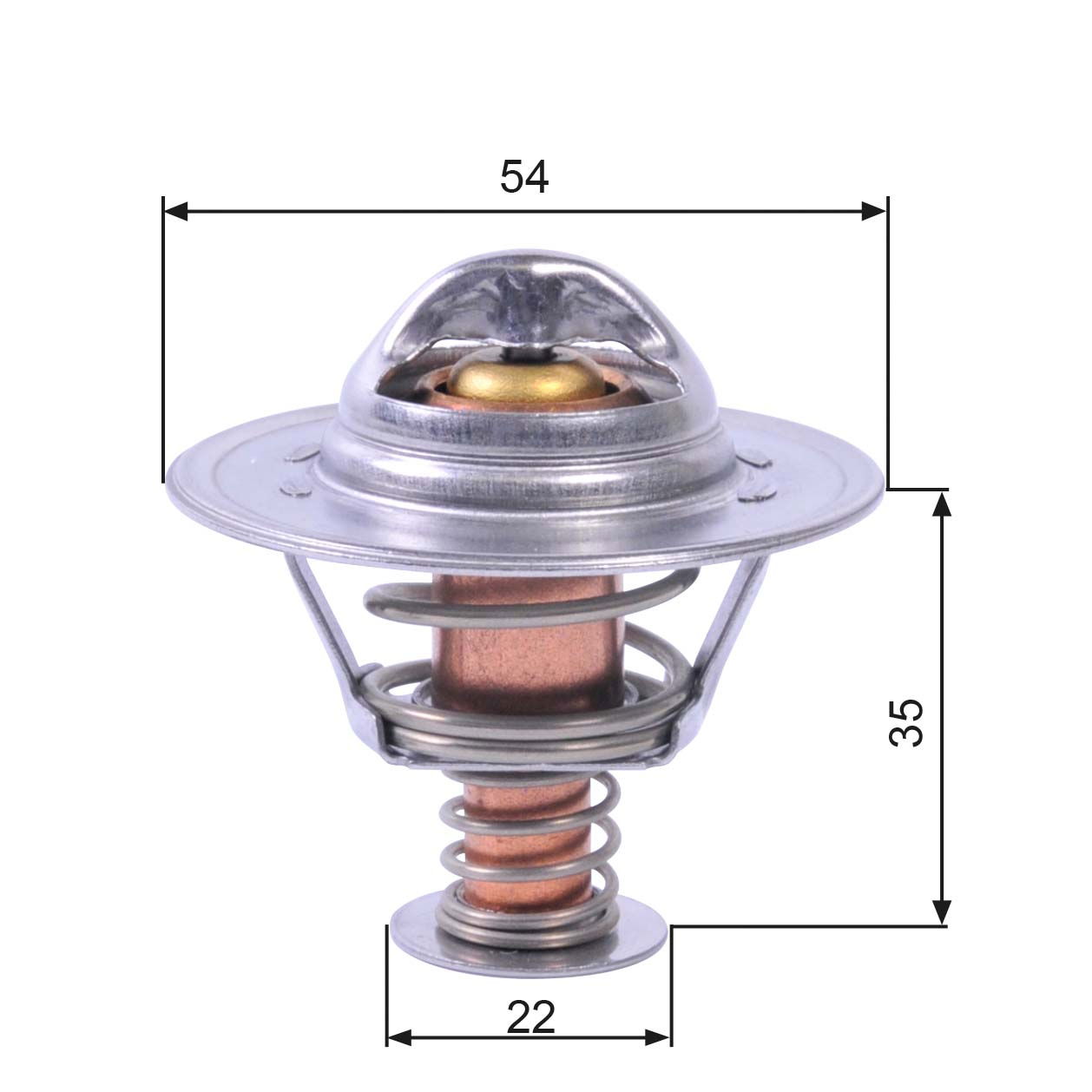 Thermostat d'eau