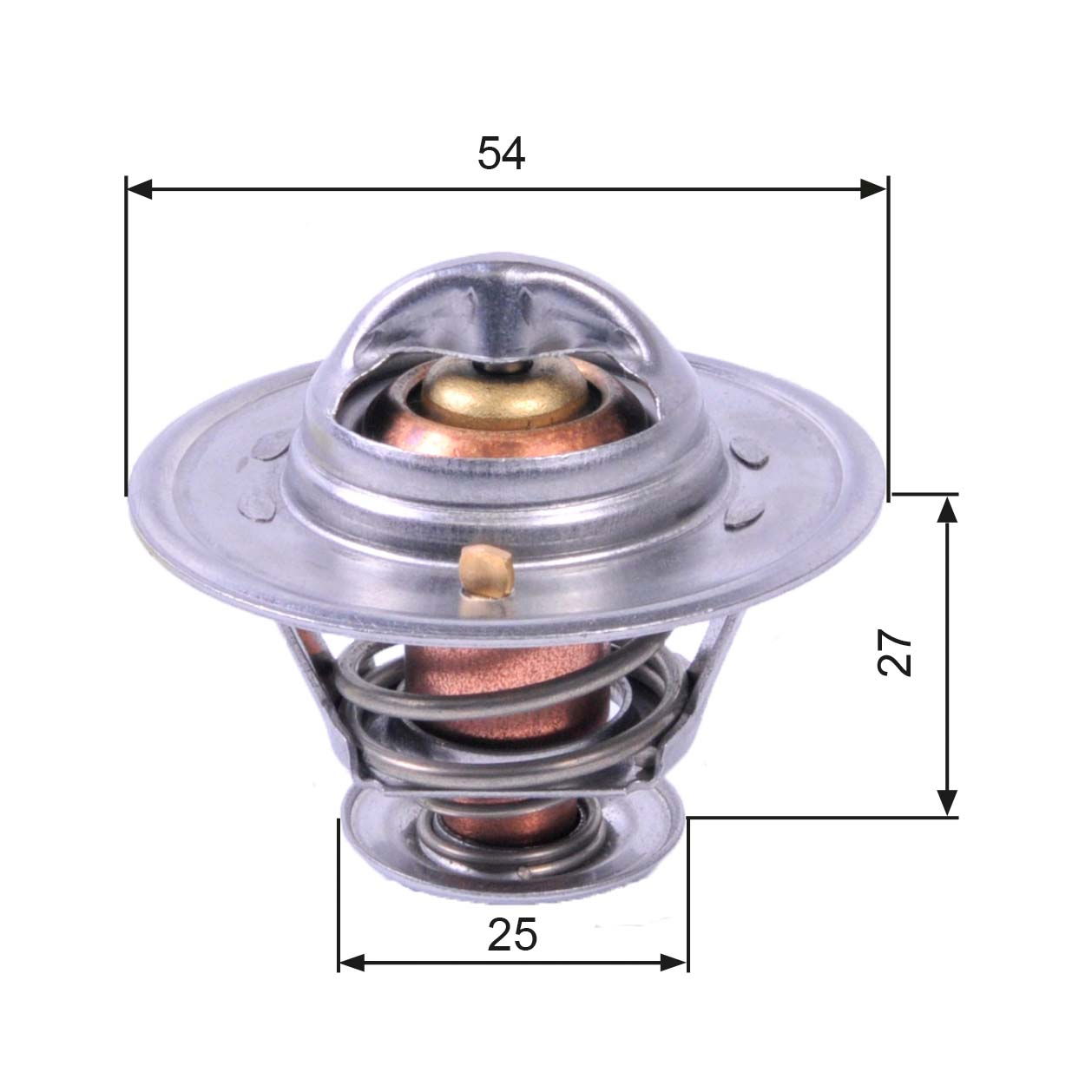 Thermostat d'eau