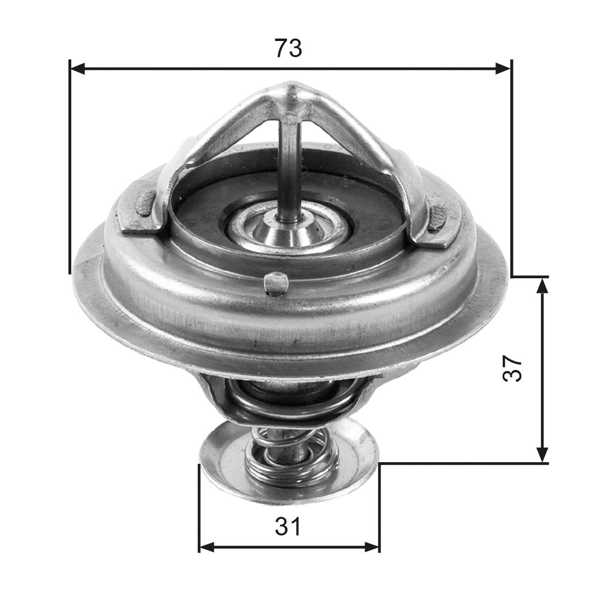 Thermostat d'eau