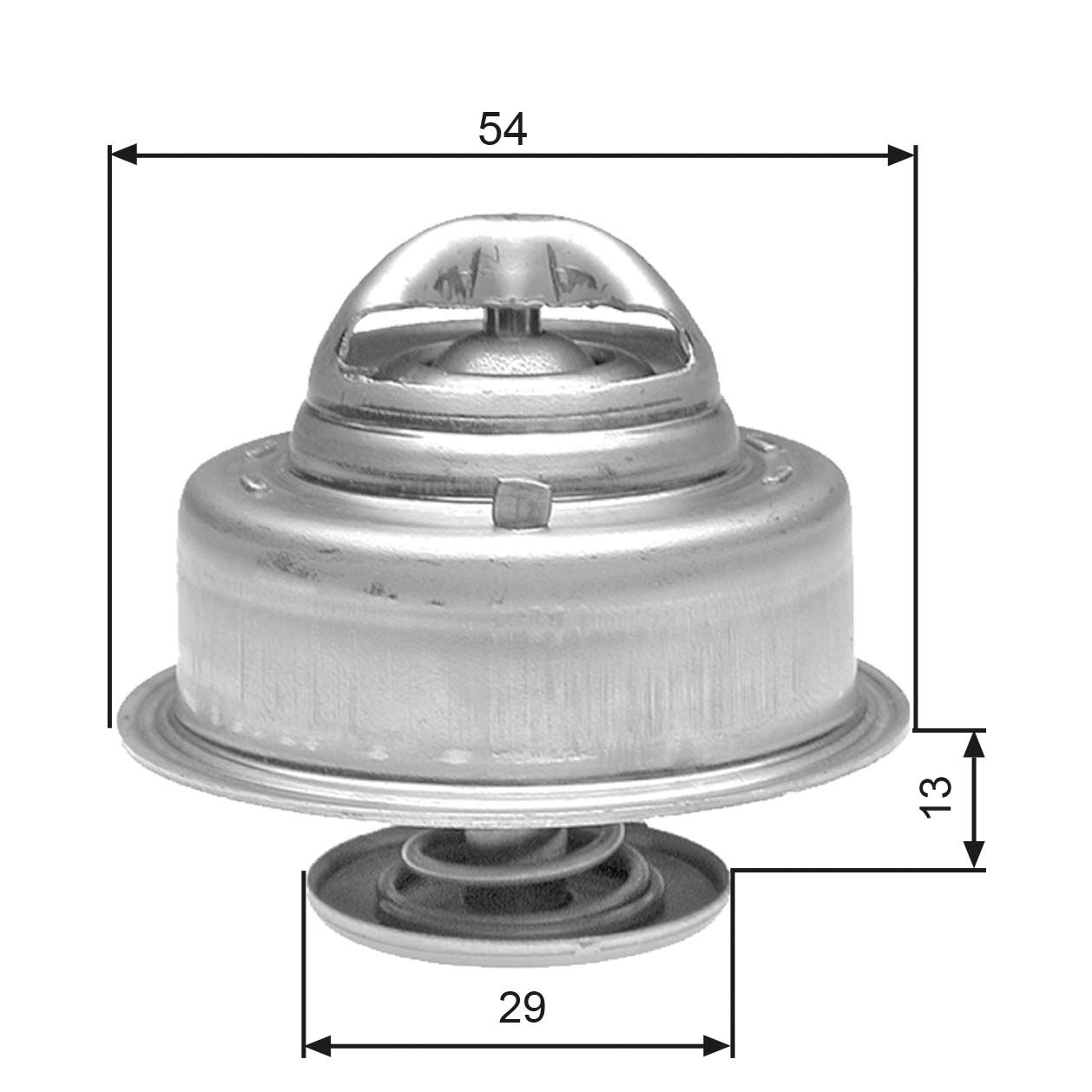 Thermostat d'eau