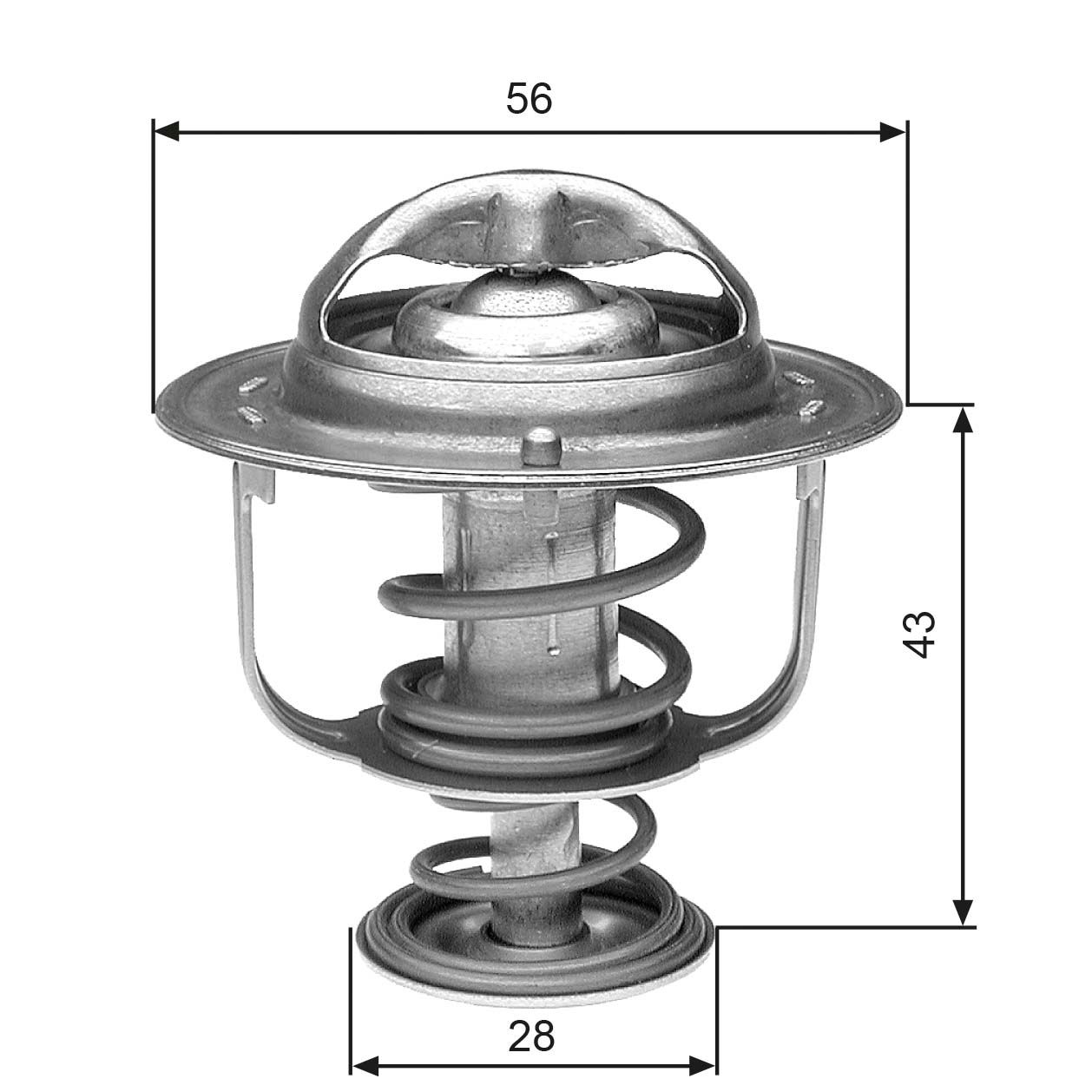 Thermostat d'eau