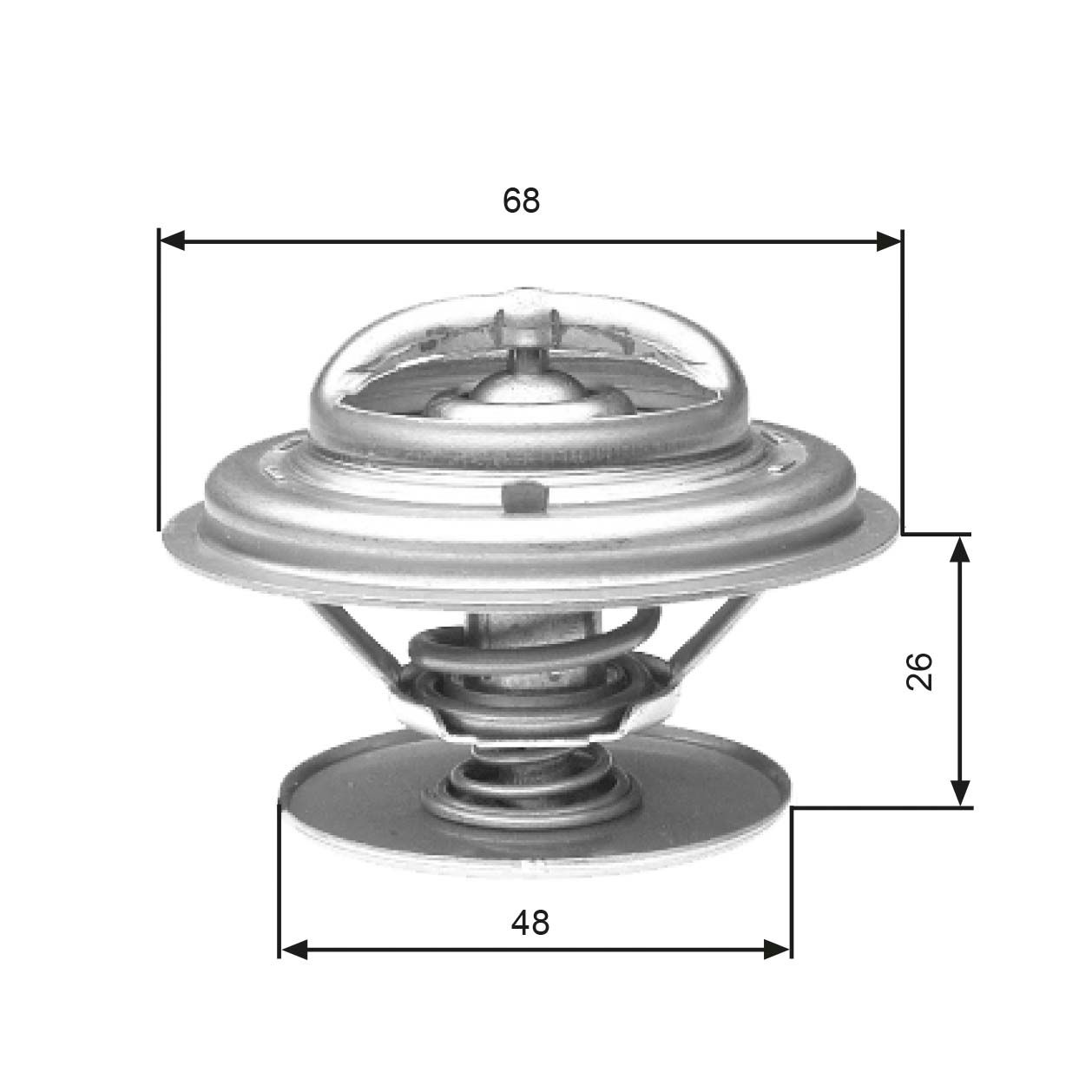 Thermostat d'eau