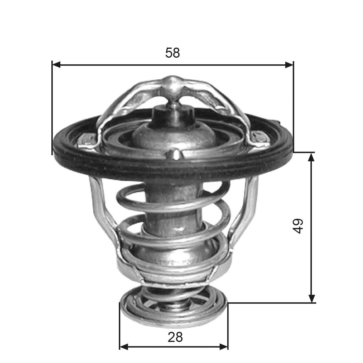 Thermostat d'eau