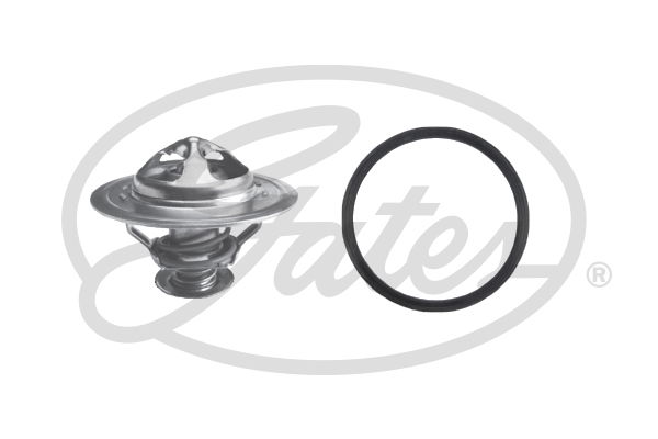 Thermostat d'eau