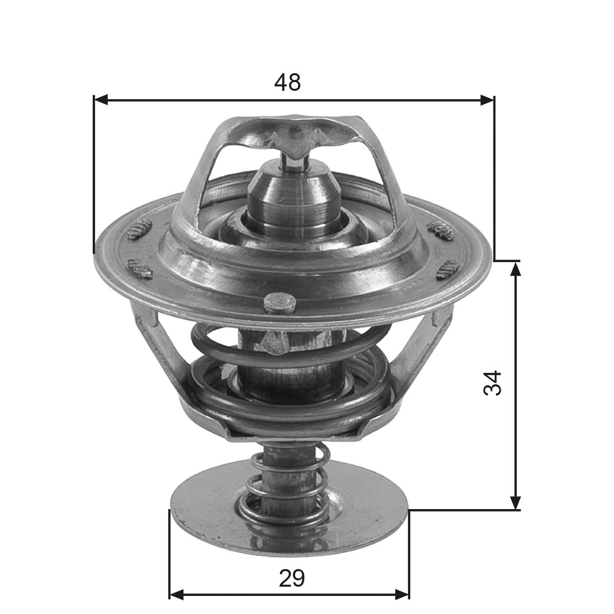 Thermostat d'eau