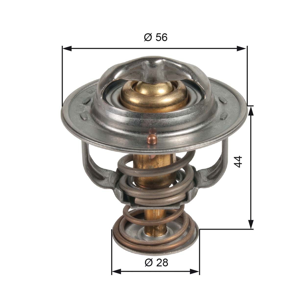 Thermostat d'eau