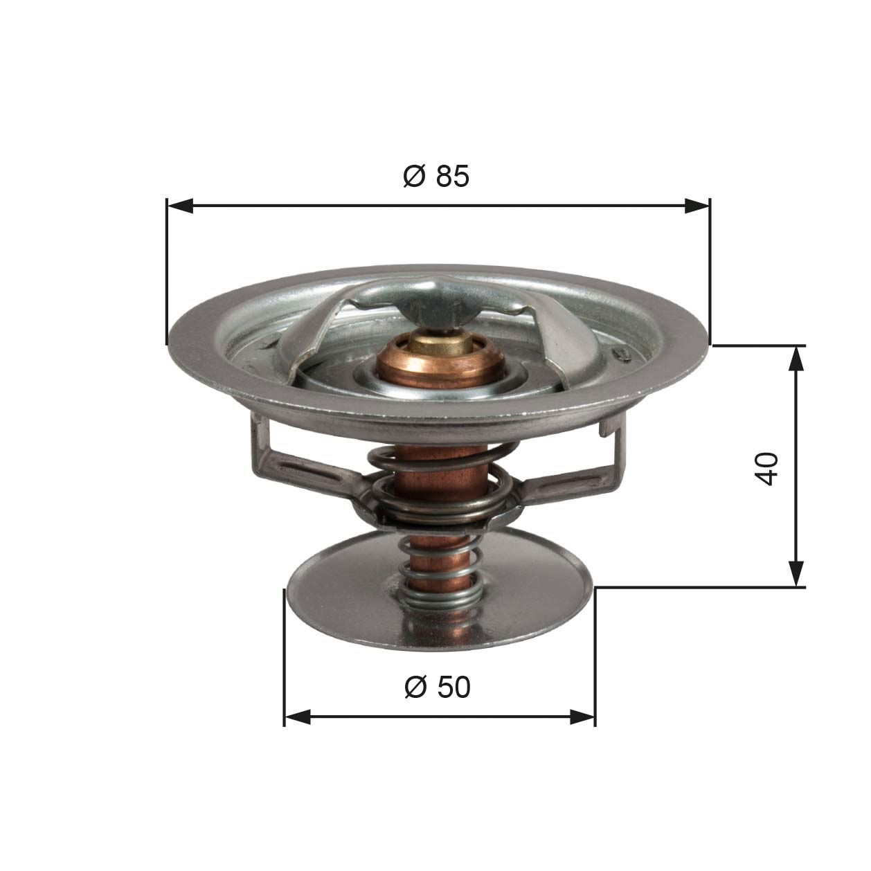 Thermostat d'eau