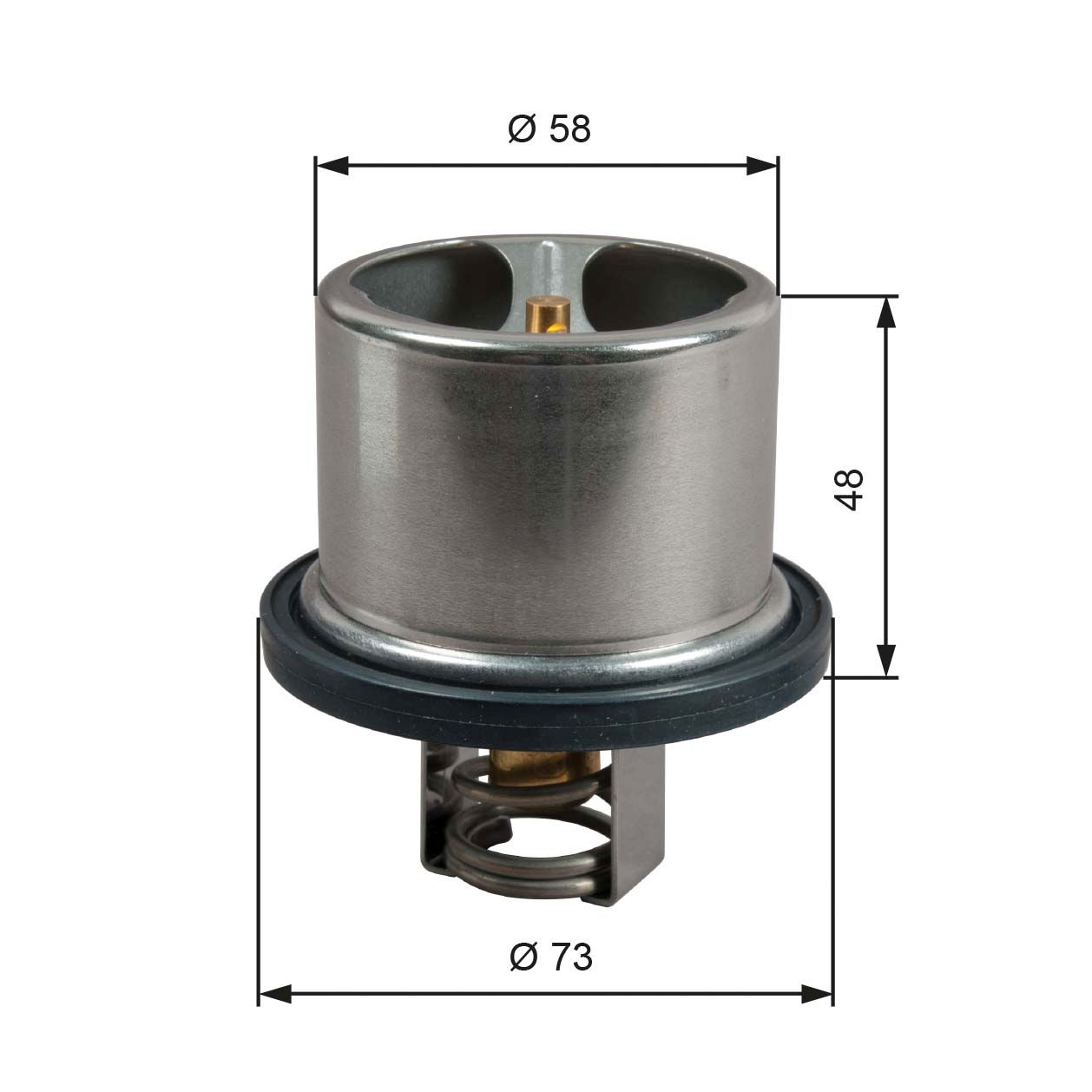 Thermostat d'eau