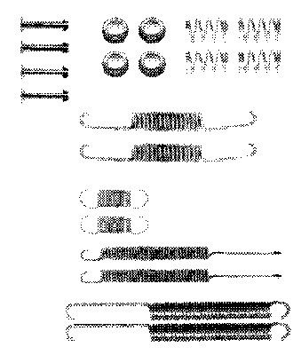 Kit d'accessoires, mâchoire de frein PREMIER