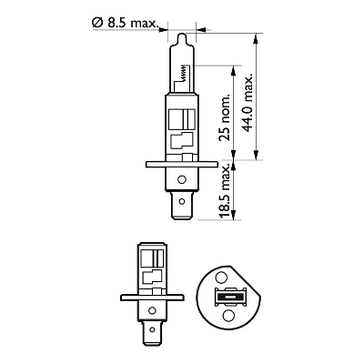 Ampoule, projecteur antibrouillard Rally