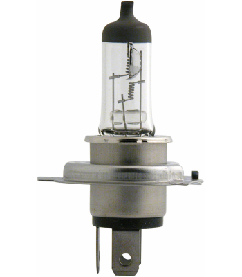 Ampoule, projecteur antibrouillard MasterDuty