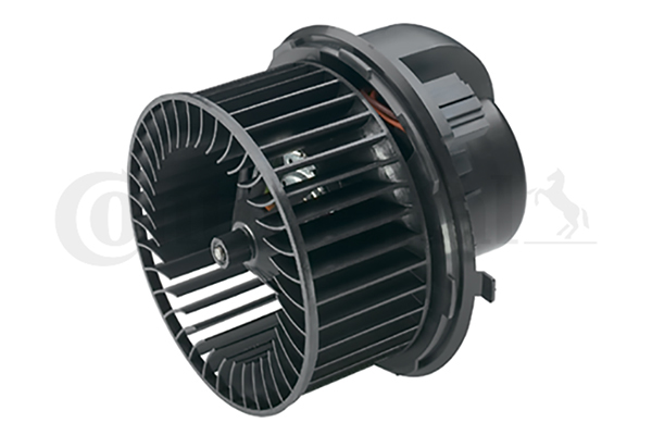 Pulseur d'air habitacle
