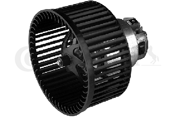 Pulseur d'air habitacle