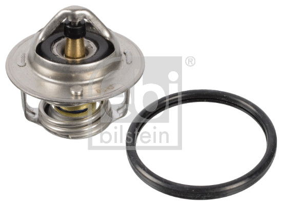 Thermostat d'eau