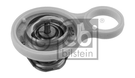 Thermostat d'eau