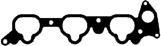 Joint d'étanchéité, collecteur d'admission