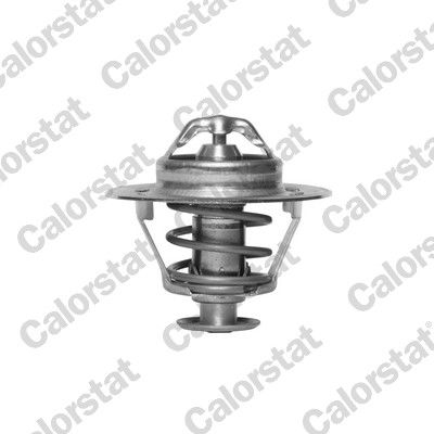 Thermostat d'eau