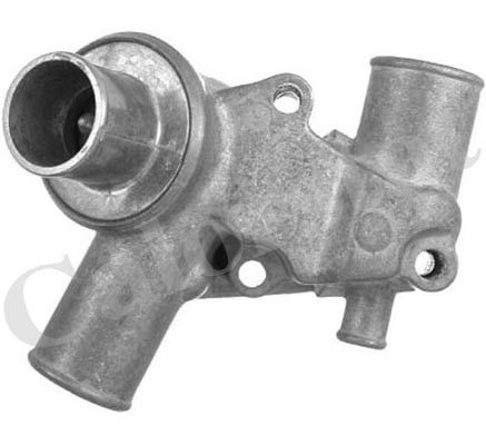 Thermostat d'eau