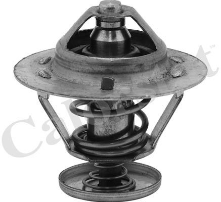 Thermostat d'eau