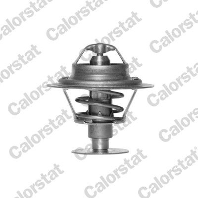 Thermostat d'eau