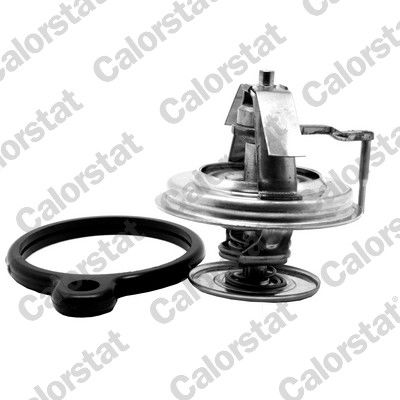 Thermostat d'eau