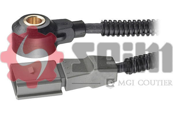 Capteur de cognement