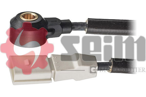 Capteur de cognement