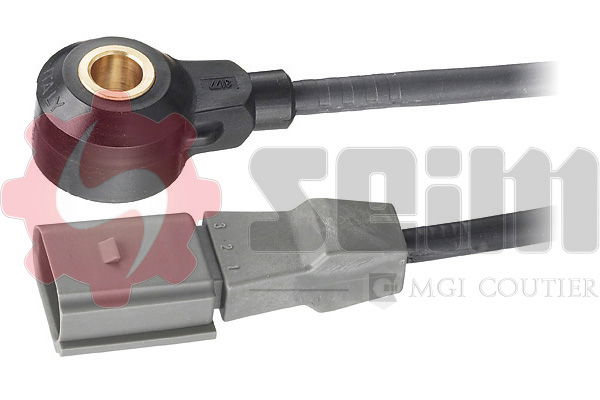 Capteur de cognement