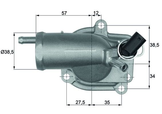 Thermostat d'eau