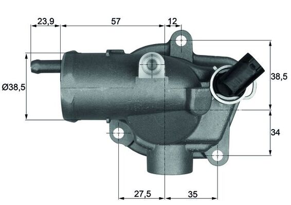 Thermostat d'eau