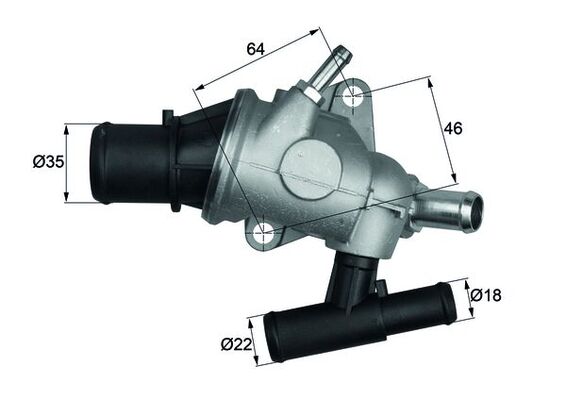 Thermostat d'eau