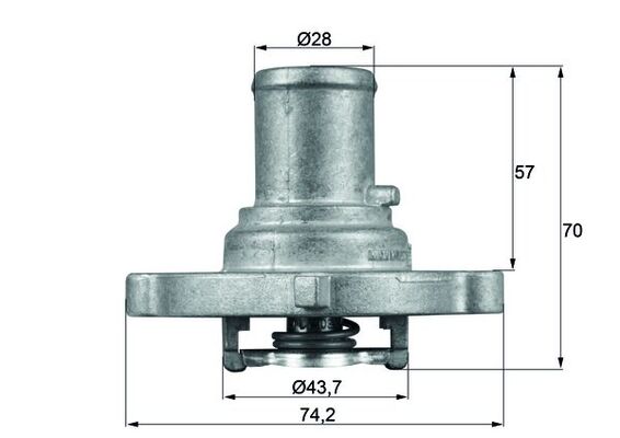 Thermostat d'eau