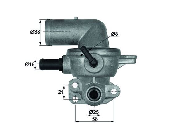 Thermostat d'eau