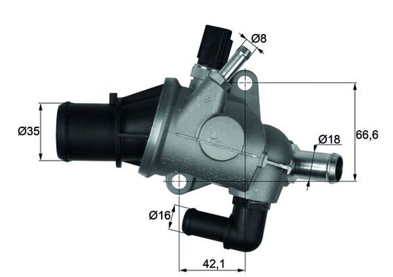 Thermostat d'eau