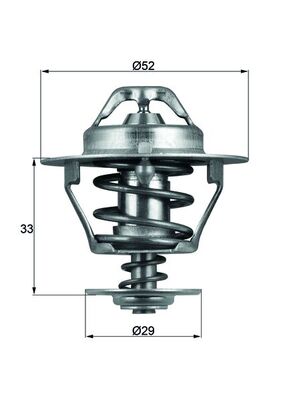 Thermostat d'eau