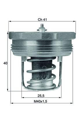 Thermostat d'eau