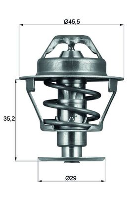 Thermostat d'eau