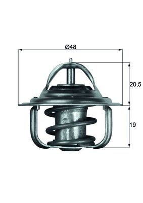 Thermostat d'eau