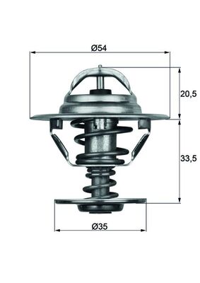 Thermostat d'eau