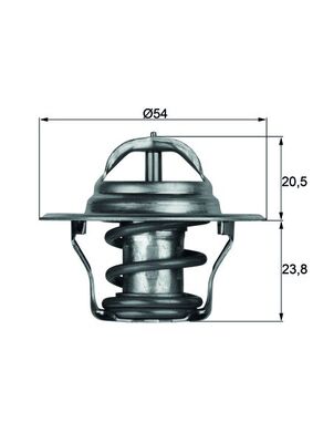 Thermostat d'eau