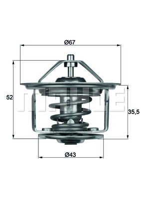 Thermostat d'eau