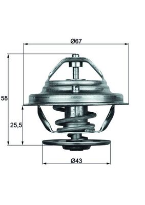 Thermostat d'eau