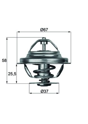 Thermostat d'eau