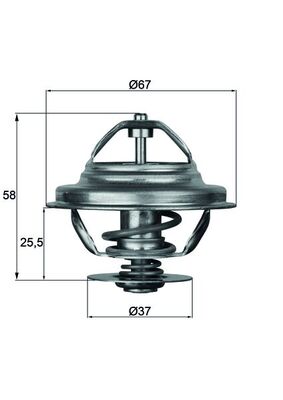 Thermostat d'eau