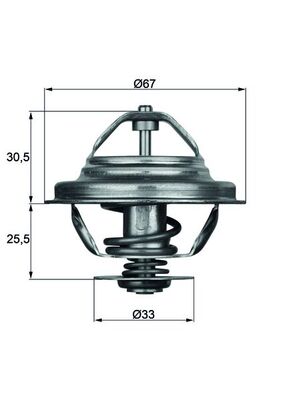 Thermostat d'eau