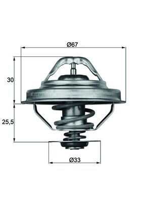 Thermostat d'eau