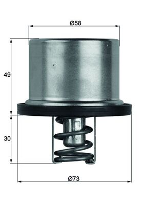 Thermostat d'eau