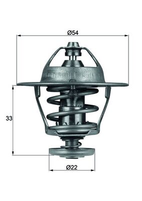 Thermostat d'eau