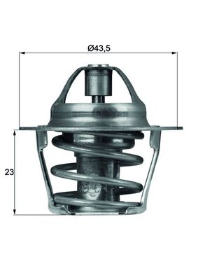 Thermostat d'eau